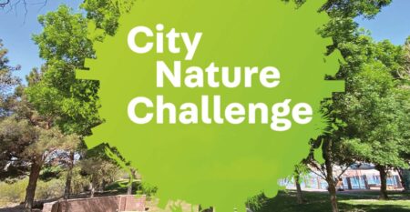 city nature challenger