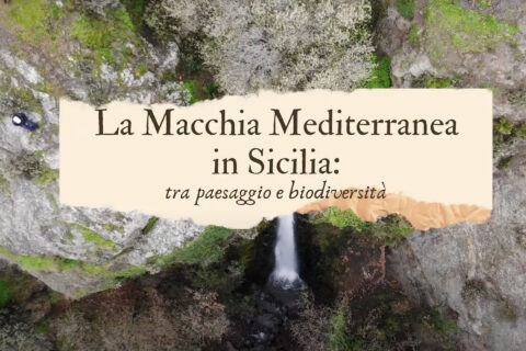 “La Macchia Mediterranea in Sicilia: tra Paesaggio e Biodiversità”